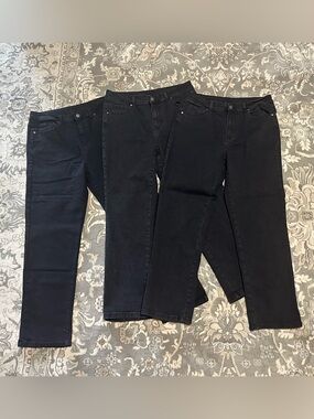Blair Women’s Straight Leg Jeans - 3 pairs